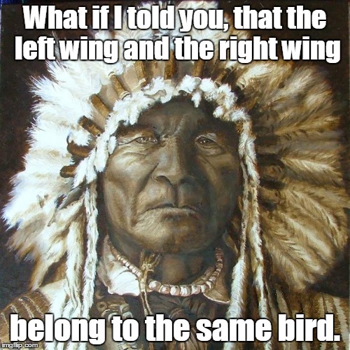 What if I told you the left wing and the right wing belong to the same bird
